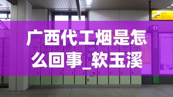 广西代工烟是怎么回事_软玉溪一般人抽不了_在哪里能买到三5香烟