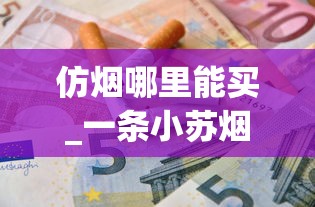 仿烟哪里能买_一条小苏烟多少钱_哪里能买到真的中华烟