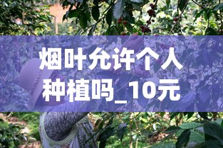 烟叶允许个人种植吗_10元以下的香烟都有哪些_带金字的烟的名字大全
