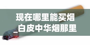 现在哪里能买烟_白皮中华烟那里有买的_正规香烟销售