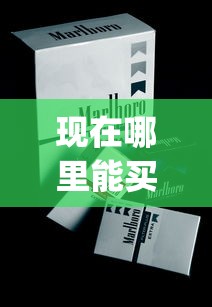 现在哪里能买烟_白皮中华烟那里有买的_正规香烟销售