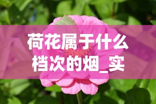 荷花属于什么档次的烟_实体店哪里买烟是正宗的_最贵的的烟多少钱
