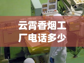 云霄香烟工厂电话多少号_低价香烟买不到_外烟供应商