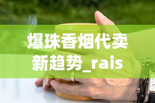 爆珠香烟代卖新趋势_raison香烟里面黑色的_无烟型电子烟