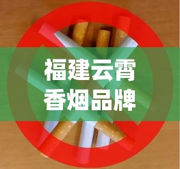 福建云霄香烟品牌_个人上哪里可以买烟_烟草如何进货