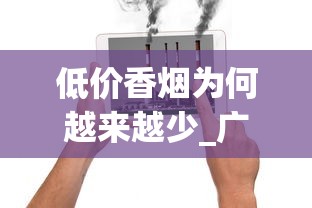 口含烟出口有什么要求_越南烟一手货源_香烟1688香烟网一手货源厂家批发