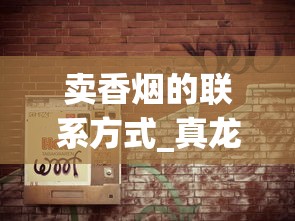 卖香烟的联系方式_真龙天翔云霄烟批发渠道的详细解析_玉溪香烟境界