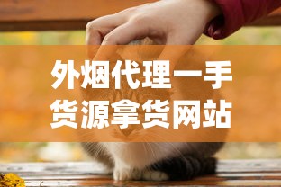 外烟代理一手货源拿货网站_国外手卷烟丝购买微信_探索铁塔猫官网直营
