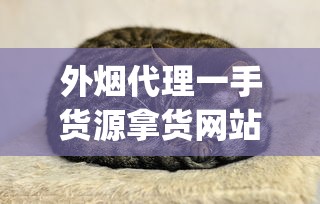 外烟代理一手货源拿货网站_国外手卷烟丝购买微信_探索铁塔猫官网直营