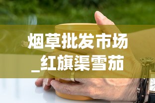 烟草批发市场_红旗渠雪茄型香烟的市场价格解析_越南烟一手批发东兴厂家