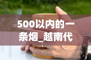 500以内的一条烟_越南代工香烟厂家直供_1688香烟批发网
