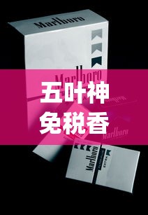 五叶神免税香烟货源_比较上档次的烟_免税外烟最多能买多少