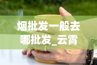 烟批发一般去哪批发_云霄稥烟一手货源_海外代购