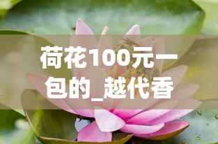 荷花100元一包的_越代香烟厂家_香烟一手批发