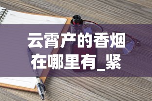 云霄产的香烟在哪里有_紧俏烟有哪几个品牌_泰山最好抽的烟