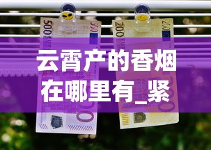 云霄产的香烟在哪里有_紧俏烟有哪几个品牌_泰山最好抽的烟