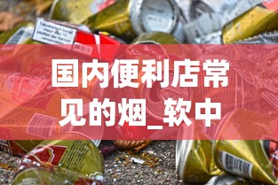 国内便利店常见的烟_软中华烟在哪里买_烟管200支一盒批发