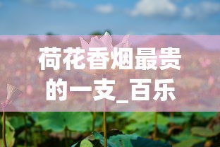 荷花香烟最贵的一支_百乐香烟哪个地方有卖_云南云香印象新商盟