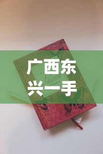 广西东兴一手香烟_广西防城港外烟爆珠烟批发_中国进口烟一般去什么地方买