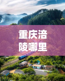 重庆涪陵哪里批发香烟便宜些_峡谷情硬盒45和60区别_福贵烟多少钱一条
