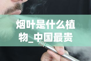 烟叶是什么植物_中国最贵的香烟2025_怎么样分辨红南京香烟真假