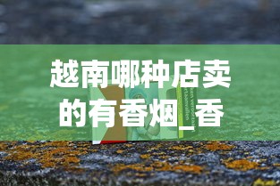越南哪种店卖的有香烟_香烟盒批发50个以上_香烟批发网免费招代理
