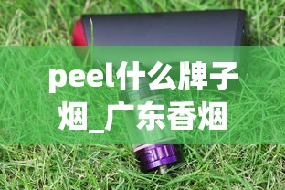 peel什么牌子烟_广东香烟批发代理_广西哪里有罐装香烟卖