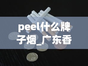 peel什么牌子烟_广东香烟批发代理_广西哪里有罐装香烟卖