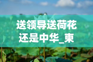送领导送荷花还是中华_柬埔寨代工软中华_25元左右抽得舒服的烟