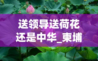 送领导送荷花还是中华_柬埔寨代工软中华_25元左右抽得舒服的烟