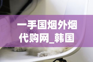 一手国烟外烟代购网_韩国猫香烟爆珠在哪里能买到_高质量免税香烟
