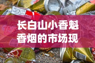 长白山小香魁香烟的市场现状_越南香烟VS柬埔寨香烟_外烟爆珠雪茄批发