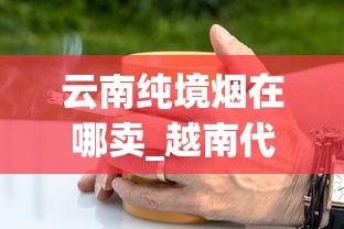 云南纯境烟在哪卖_越南代工香烟货源批发。_云霄一手香烟货源批发