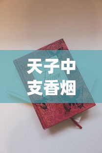 天子中支香烟的进货之道_香烟网购app_在哪里可以买到百乐烟
