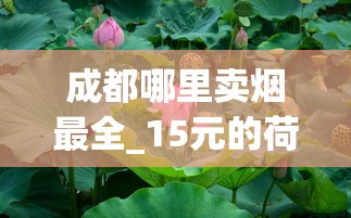 成都哪里卖烟最全_15元的荷花叫什么_云霄烟批发价格表