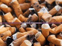 哈尔滨香烟价格波动！2023年10月热门品牌涨跌榜，省钱攻略速看