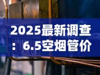 2025最新调查：6.5空烟管价格暴跌？每盒低至XX元背后真相