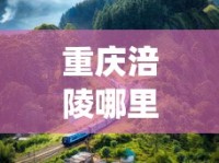 重庆涪陵哪里批发香烟便宜些_峡谷情硬盒45和60区别_福贵烟多少钱一条