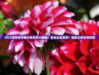 利群香烟进价表_进口香烟排名_云霄货到付款联系方式