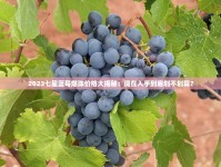 贵烟价格大揭秘！2023最新行情曝光，这些款竟比去年便宜？