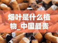 烟叶是什么植物_中国最贵的香烟2025_怎么样分辨红南京香烟真假