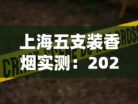 上海五支装香烟实测：2024最新测评，老烟枪为何集体种草？