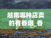 越南哪种店卖的有香烟_香烟盒批发50个以上_香烟批发网免费招代理