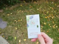 最新！2023娇子蓝时代价格变动解析：这些细节可能影响你的选择