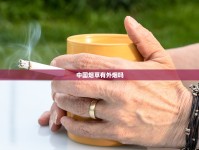 2025香烟批发厂家直销破局关键：免税货源与隐藏商机全解析