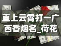 直上云霄打一广西香烟名_荷花双中支烟多少钱一包_什么烟名好听