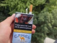 外烟网购商城_出口外烟厂家直销批发市场渠道探秘_哪里有雪茄专营店
