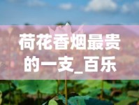 荷花香烟最贵的一支_百乐香烟哪个地方有卖_云南云香印象新商盟