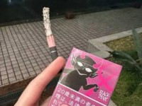 厦门珍品烟2023最新测评：老烟民亲测口感，到底值不值入手？