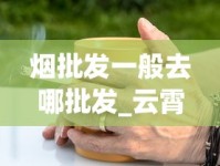 烟批发一般去哪批发_云霄稥烟一手货源_海外代购